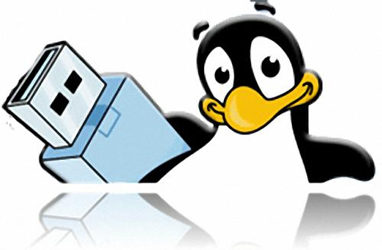 U盘安装Linux系统